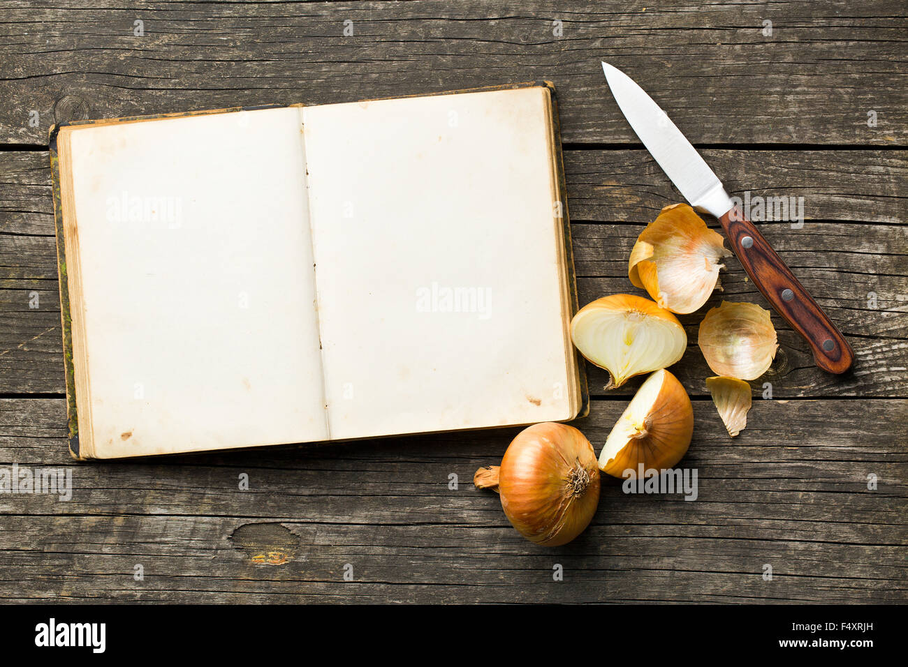 blank recipe book and halved onion Stock Photo