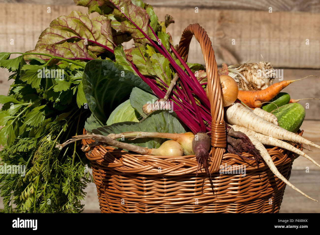 vegetables different species in basket in garden Stock Photo