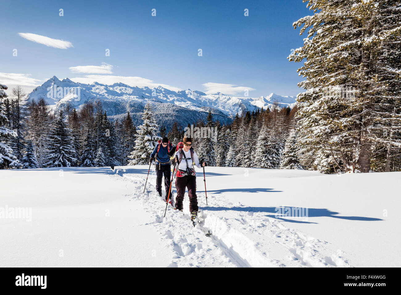 Ski tourers ascending the Cima Bocche at Passo Valles, behind the ...