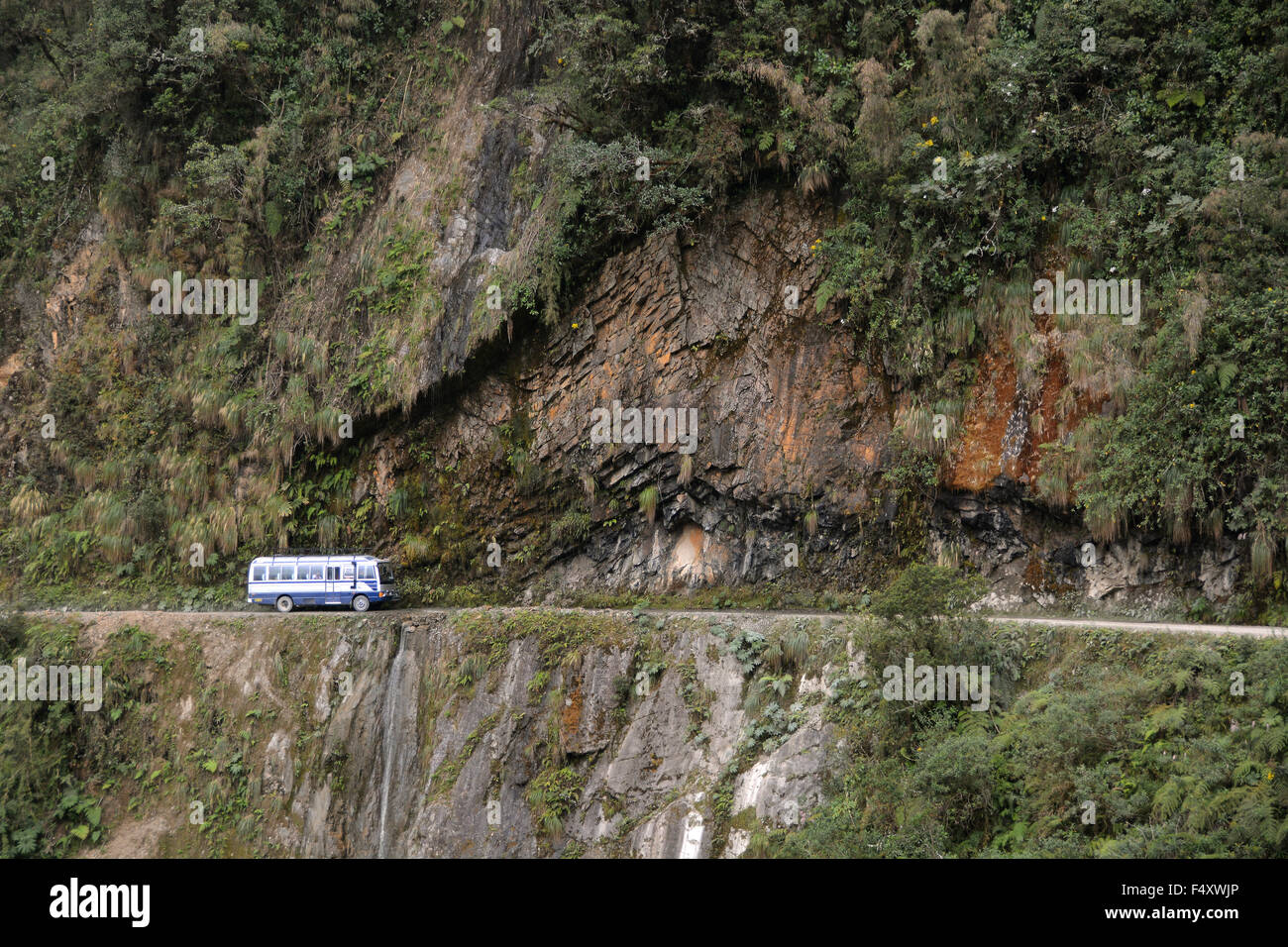 Bus de paz hi-res stock photography and images - Alamy