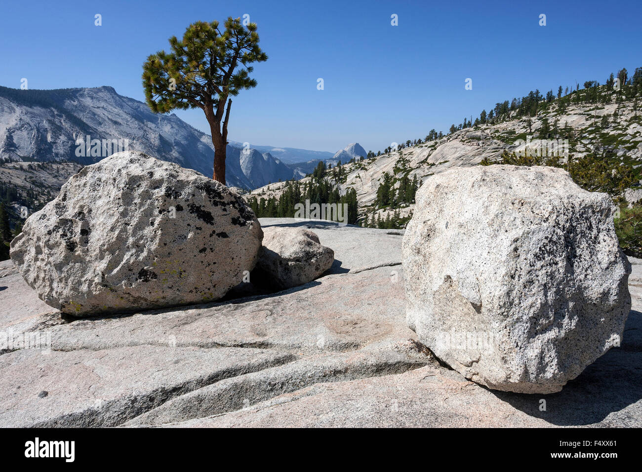 Rocky Plateau Fight Background