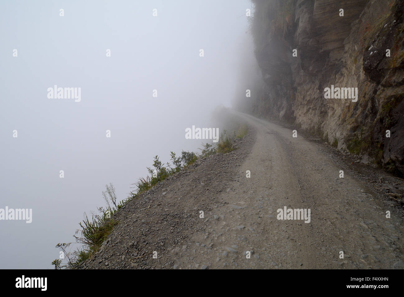 Death Road in fog, Camino de la Muerte, Yungas North Road between La Paz and Coroico, Bolivia Stock Photo