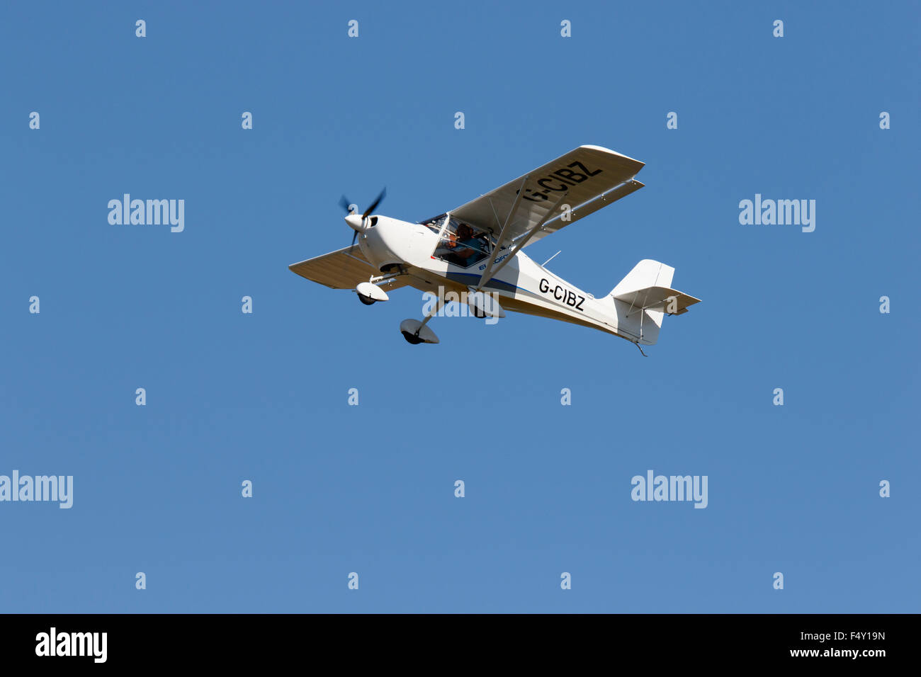 Eurofox hi-res stock photography and images - Alamy