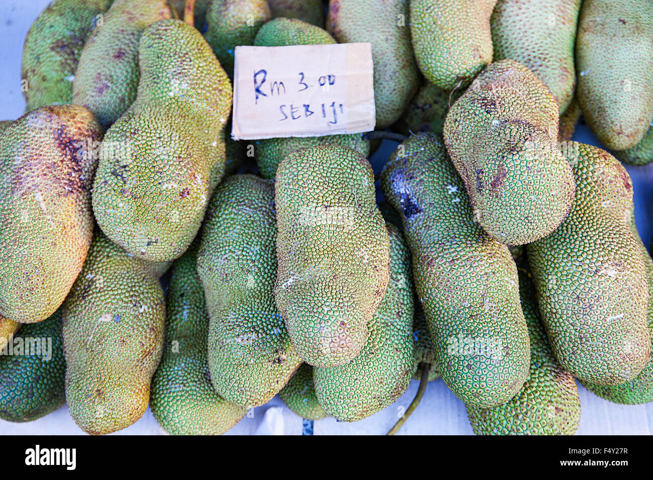 Cempedak or Artocarpus Integer, is a of family Moraceae, and same genus as breadfruit and jackfruit. Stock Photo
