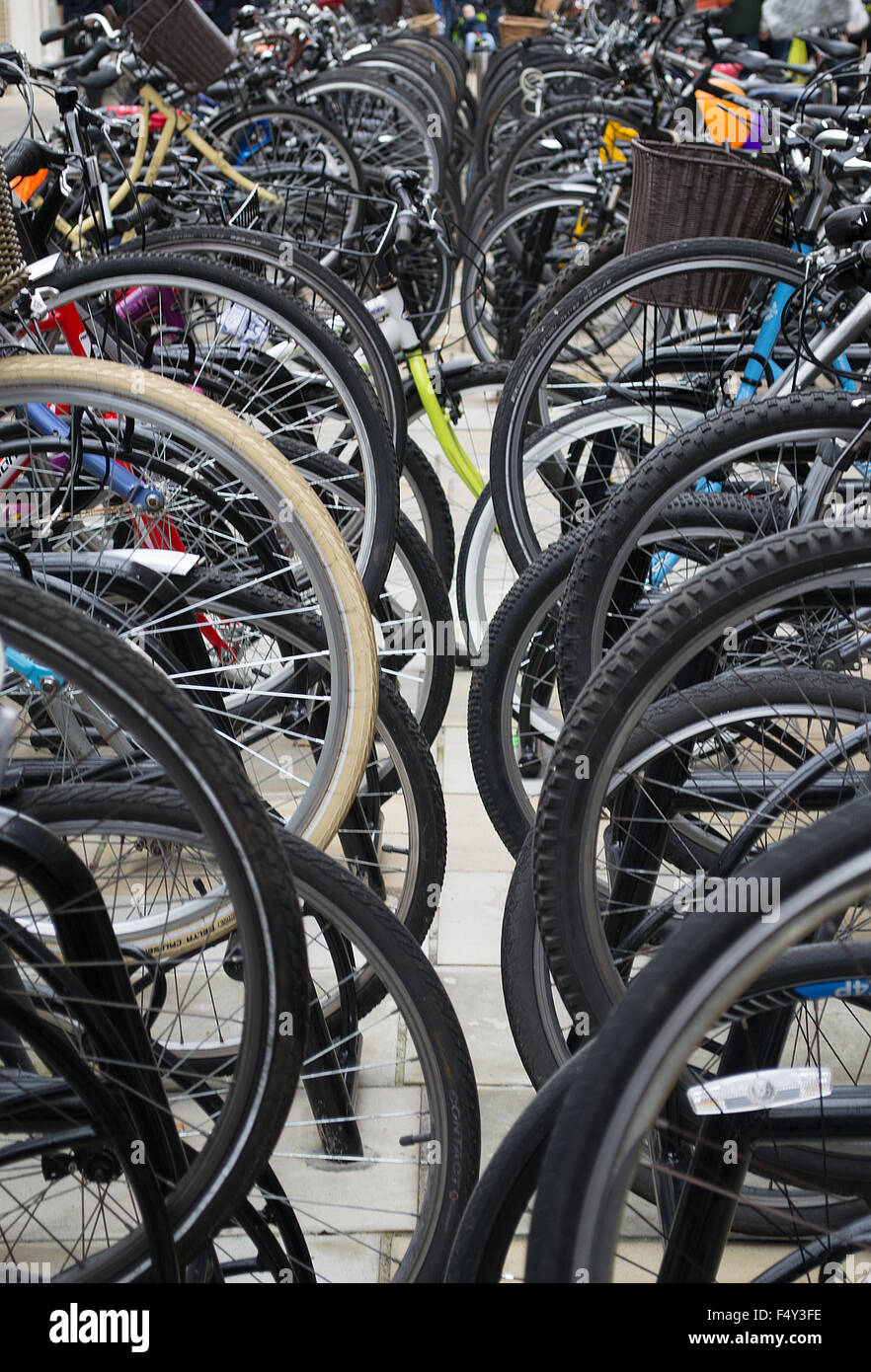 best places to buy a bicycle
