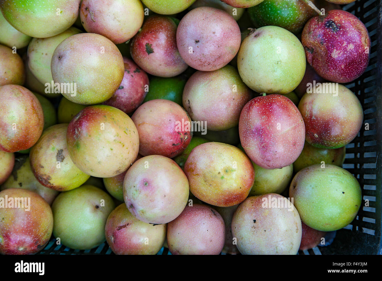 Passion fruits hi-res stock photography and images - Alamy