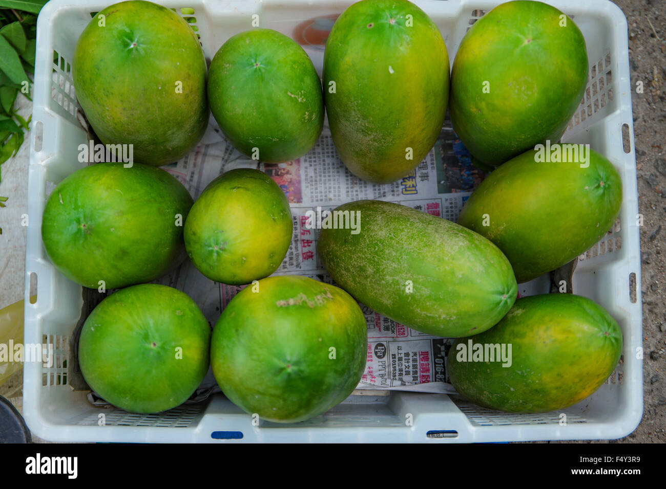 Fresh local papayas selling in the street market. Selective focus with shallow depth of field. Stock Photo