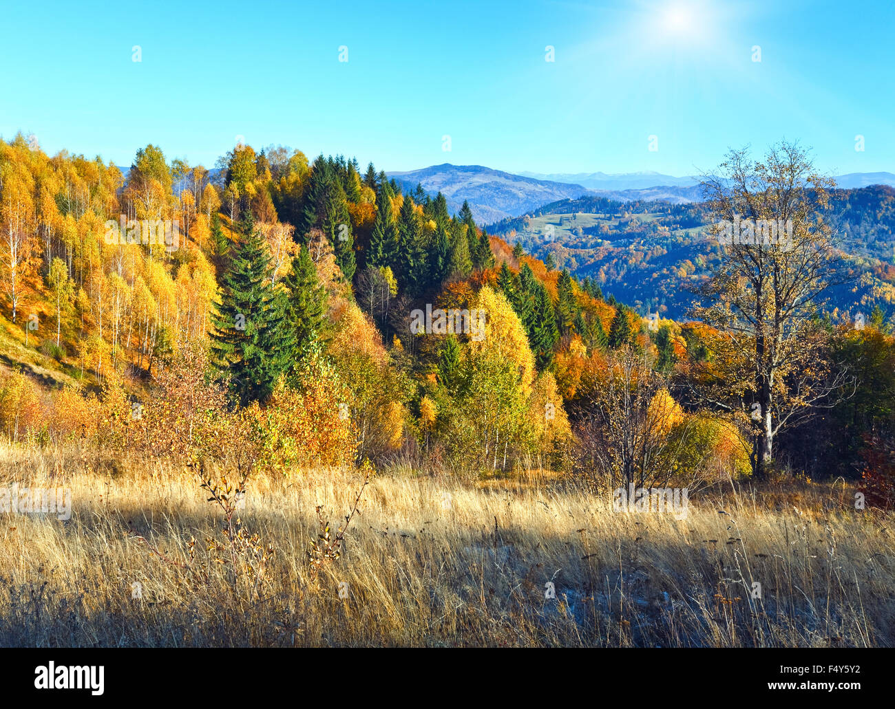 Autumn  mountain Nimchich pass (Carpathian, Ukraine) and colorful trees on hill. Stock Photo