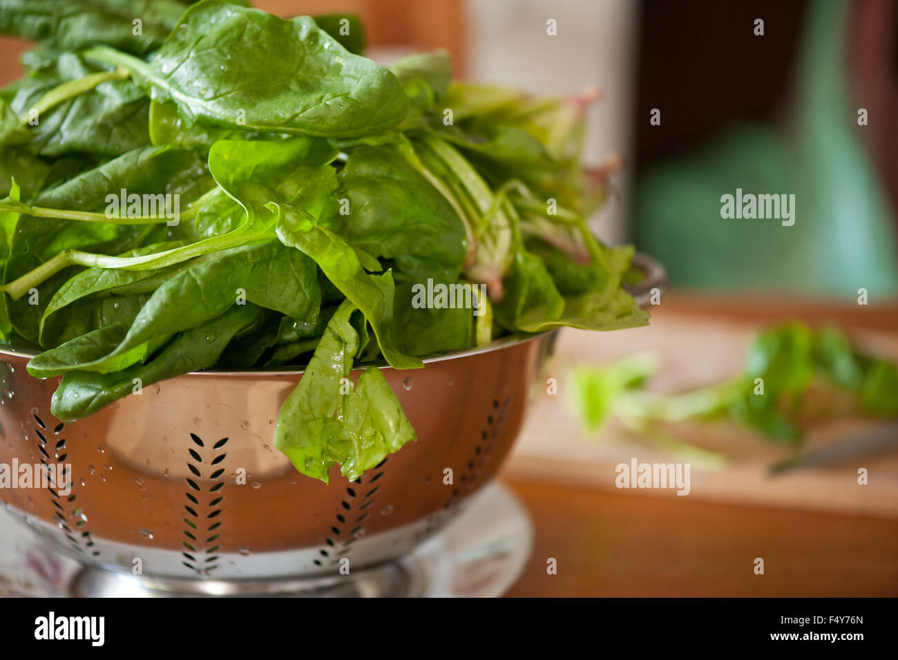 Spinach leaves in strainer, perforated stainless steel colander full of