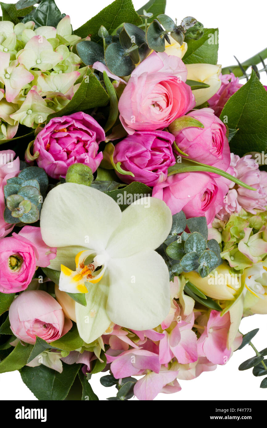 flowers isolated on white background Stock Photo - Alamy