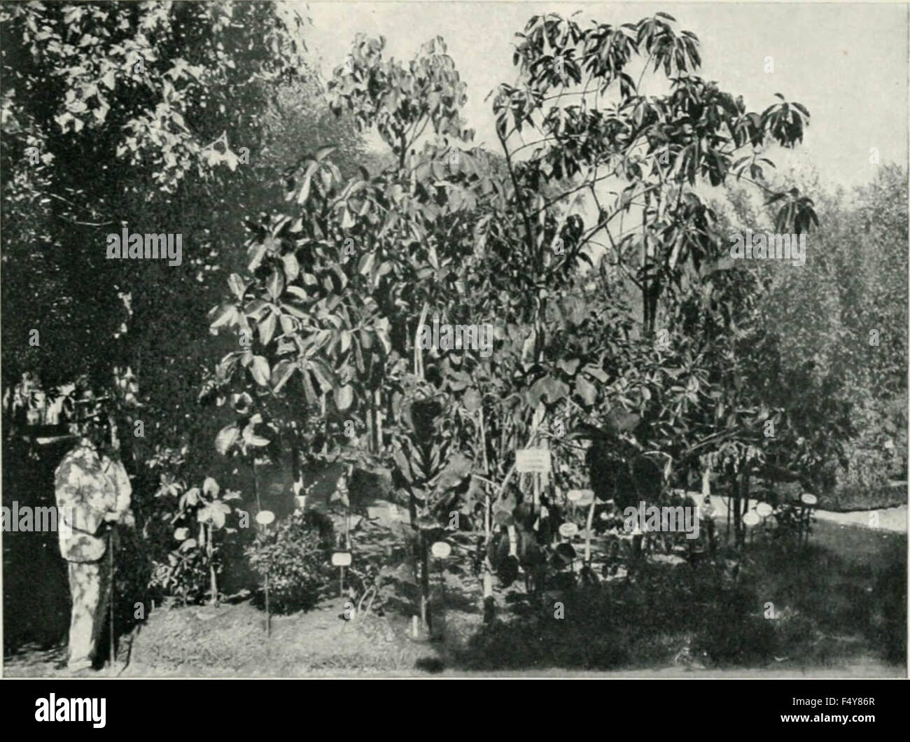 El JardÃ-n botÃ¡nico de Buenos Aires Stock Photo - Alamy