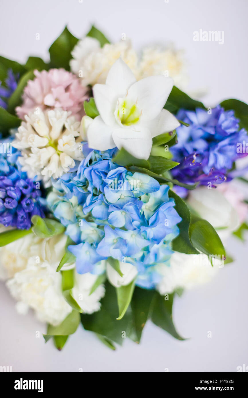 flowers isolated on white background Stock Photo - Alamy