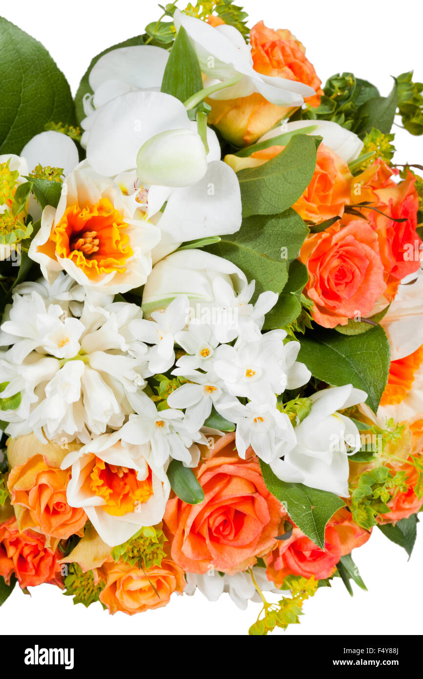 flowers isolated on white background Stock Photo - Alamy