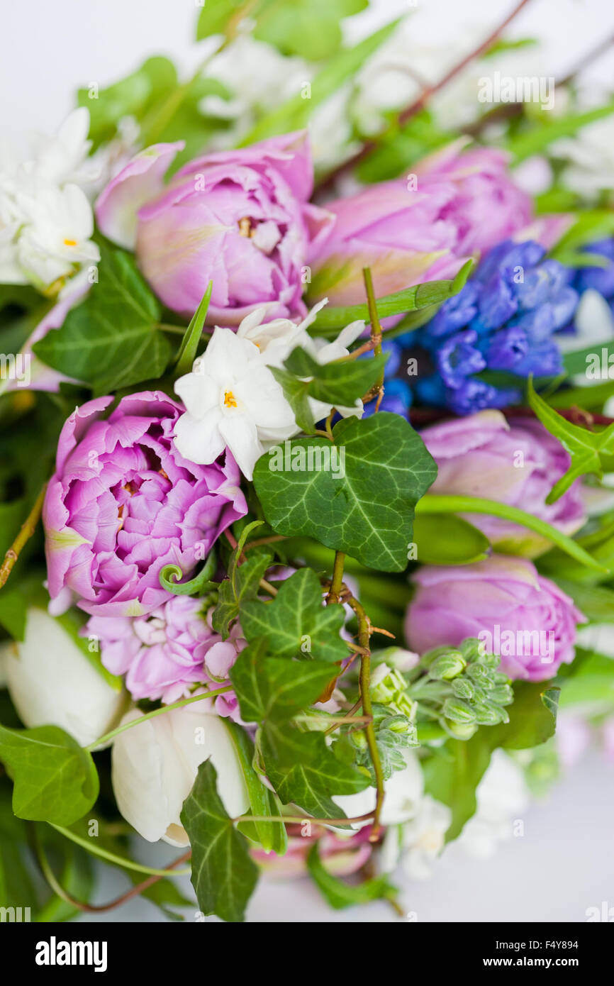 flowers isolated on white background Stock Photo - Alamy