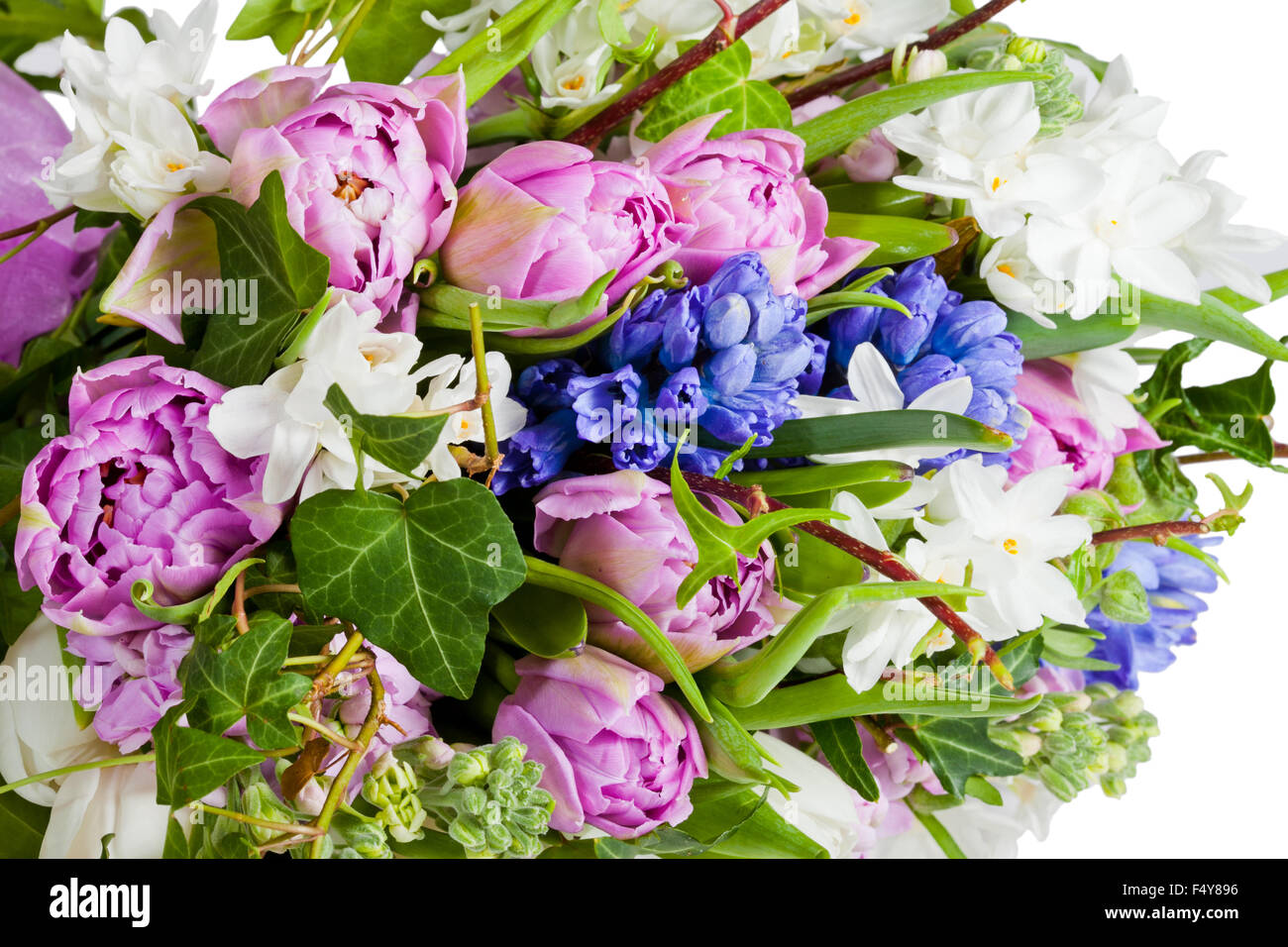 flowers isolated on white background Stock Photo - Alamy