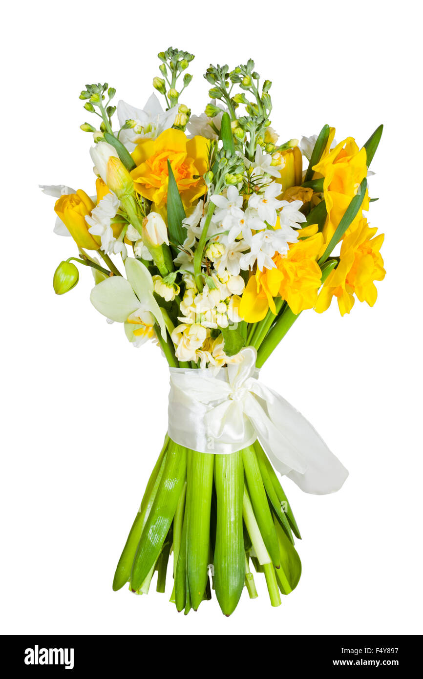 flowers isolated on white background Stock Photo - Alamy