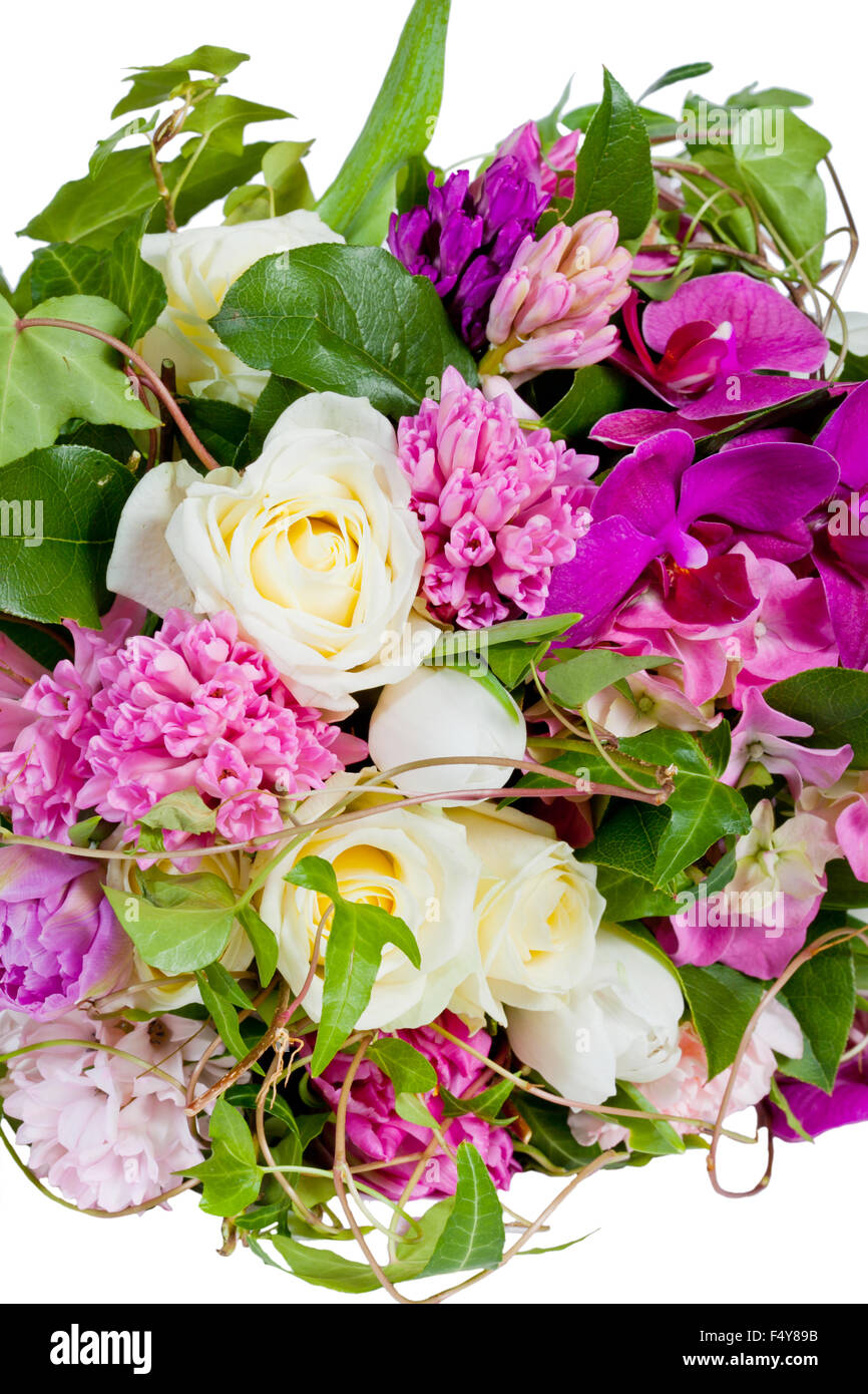 flowers isolated on white background Stock Photo - Alamy