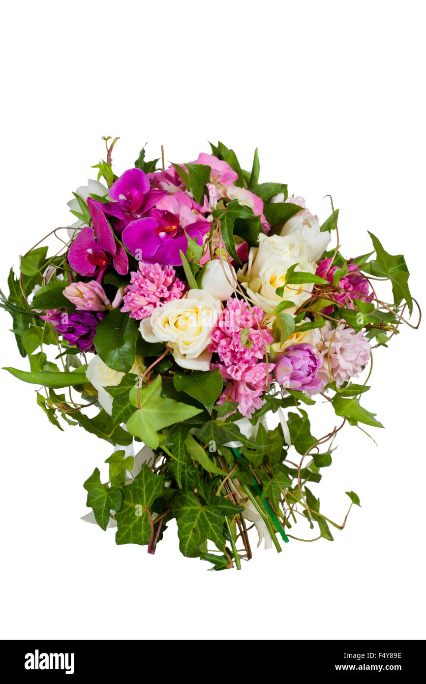 flowers isolated on white background Stock Photo - Alamy