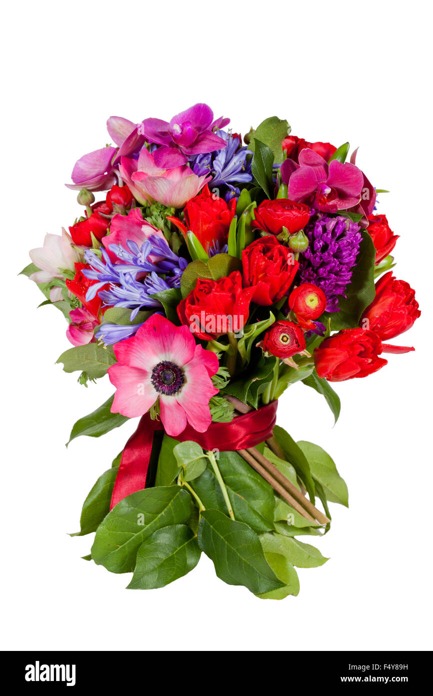flowers isolated on white background Stock Photo - Alamy
