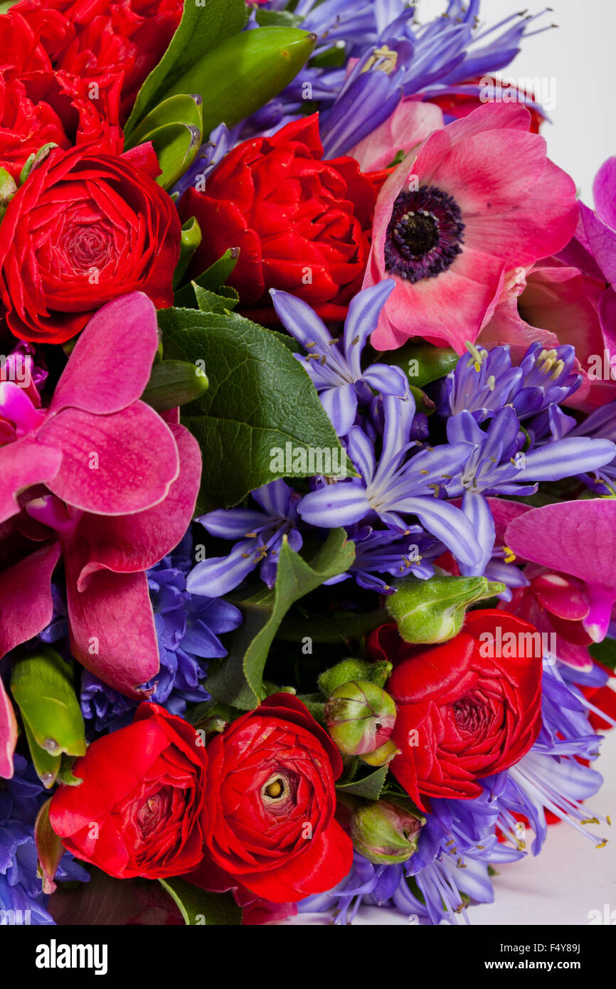 flowers isolated on white background Stock Photo - Alamy
