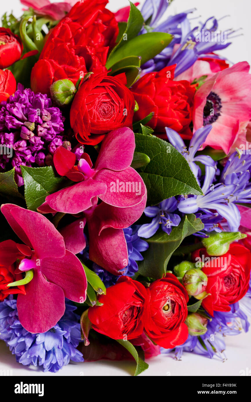 flowers isolated on white background Stock Photo - Alamy