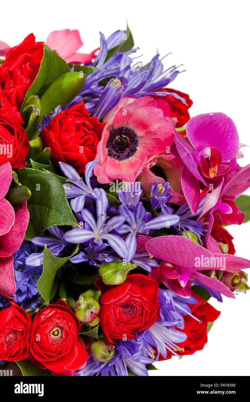 flowers isolated on white background Stock Photo - Alamy
