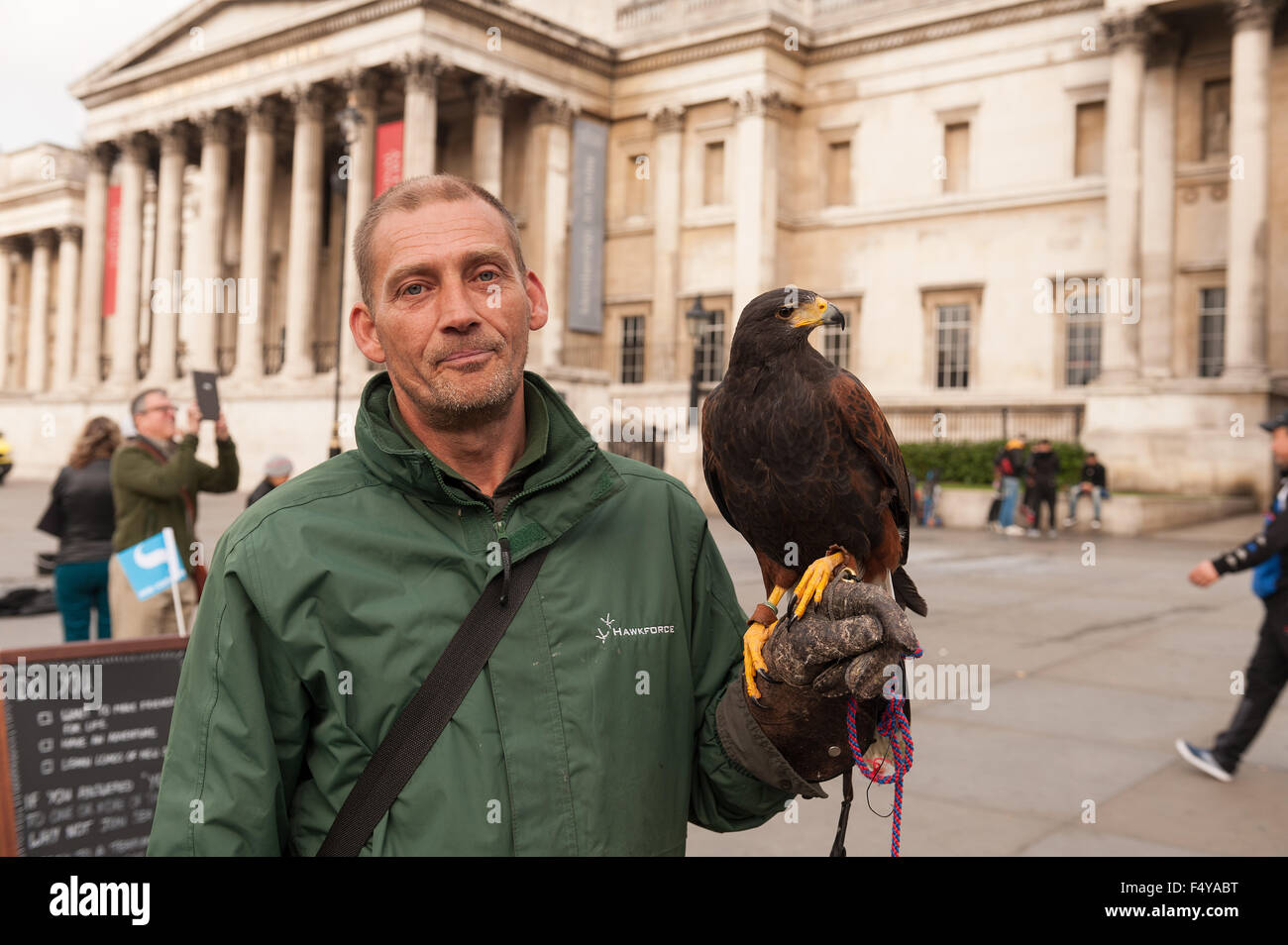 keeping the pigeons  under control in Trafalgar Square a falconer with tethered bird of prey patrols the concourse before crowds Stock Photo