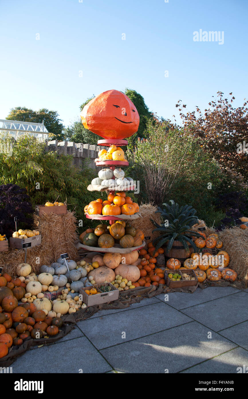 Pumpkin Displays At The Naional Botanic Garden Celebrating