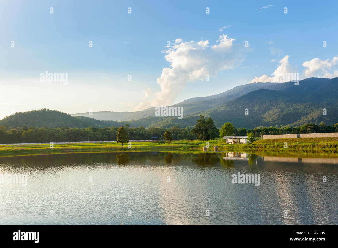Nature landscape and blue sky reflected in the river Stock Photo - Alamy