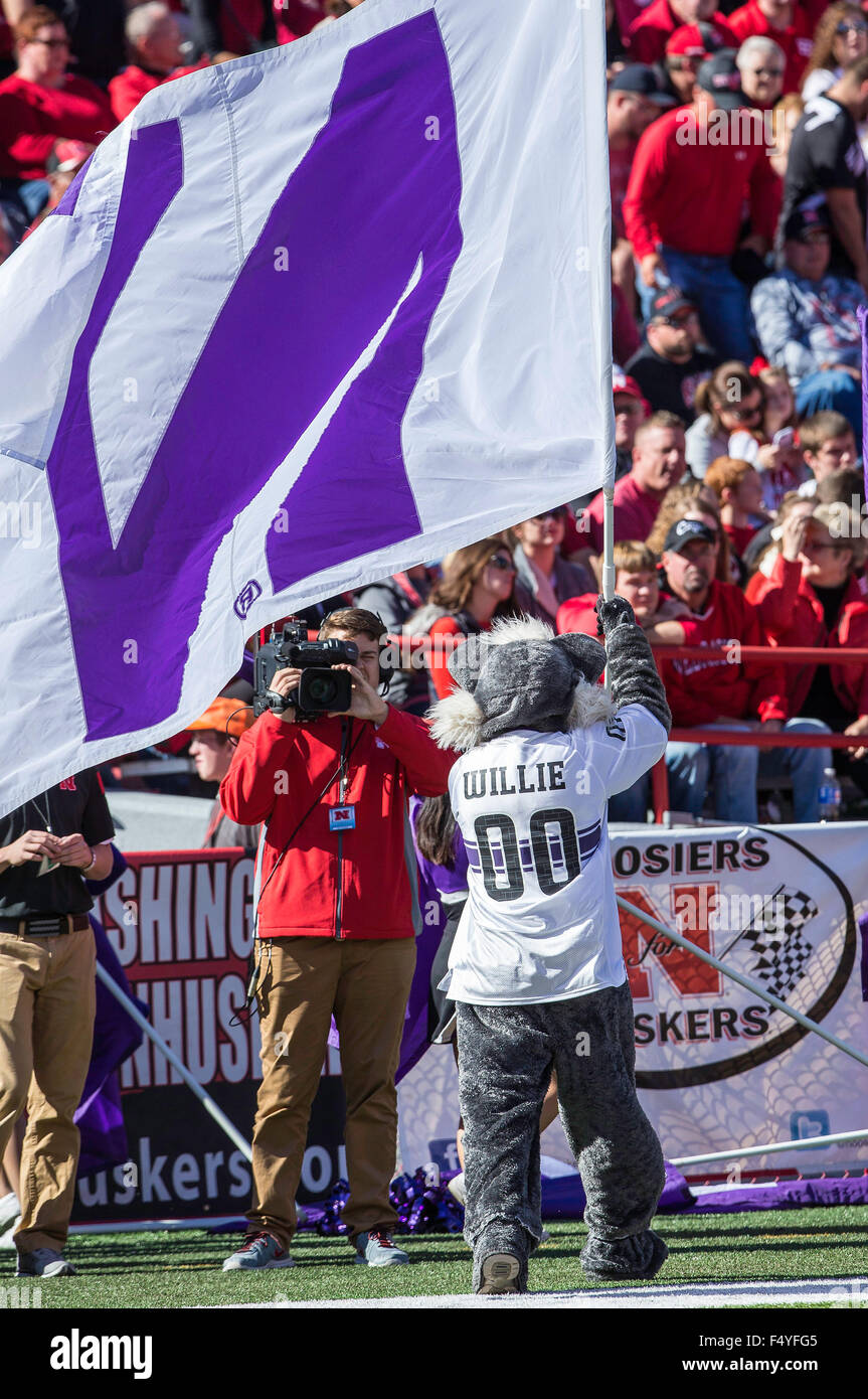 Lincoln, NE. USA. 24th Oct, 2015. Northwestern Wildcats mascot Willie waves the Northwestern flag after a 2nd half score during an NCAA Division 1 football game between the Northwestern Wildcats and Nebraska Cornhuskers at Memorial Stadium in Lincoln, NE.Northwestern won 30-28.Attendance:89,493.Michael Spomer/Cal Sport Media. Credit:  csm/Alamy Live News Stock Photo