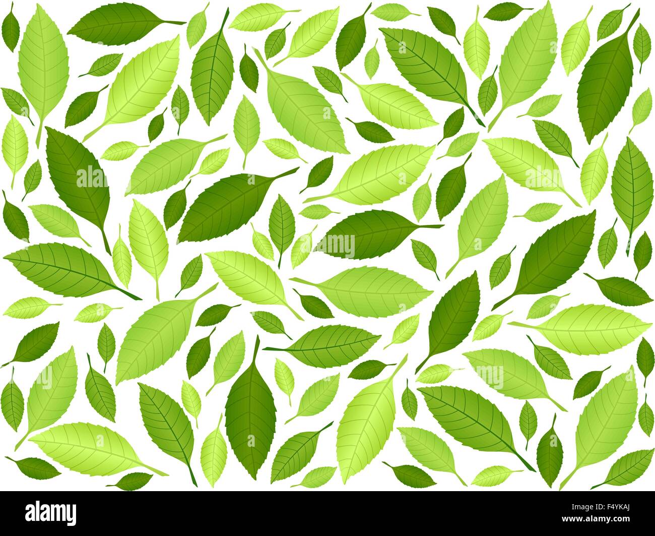 Green leafs background. Vector illustration Stock Vector Image & Art ...