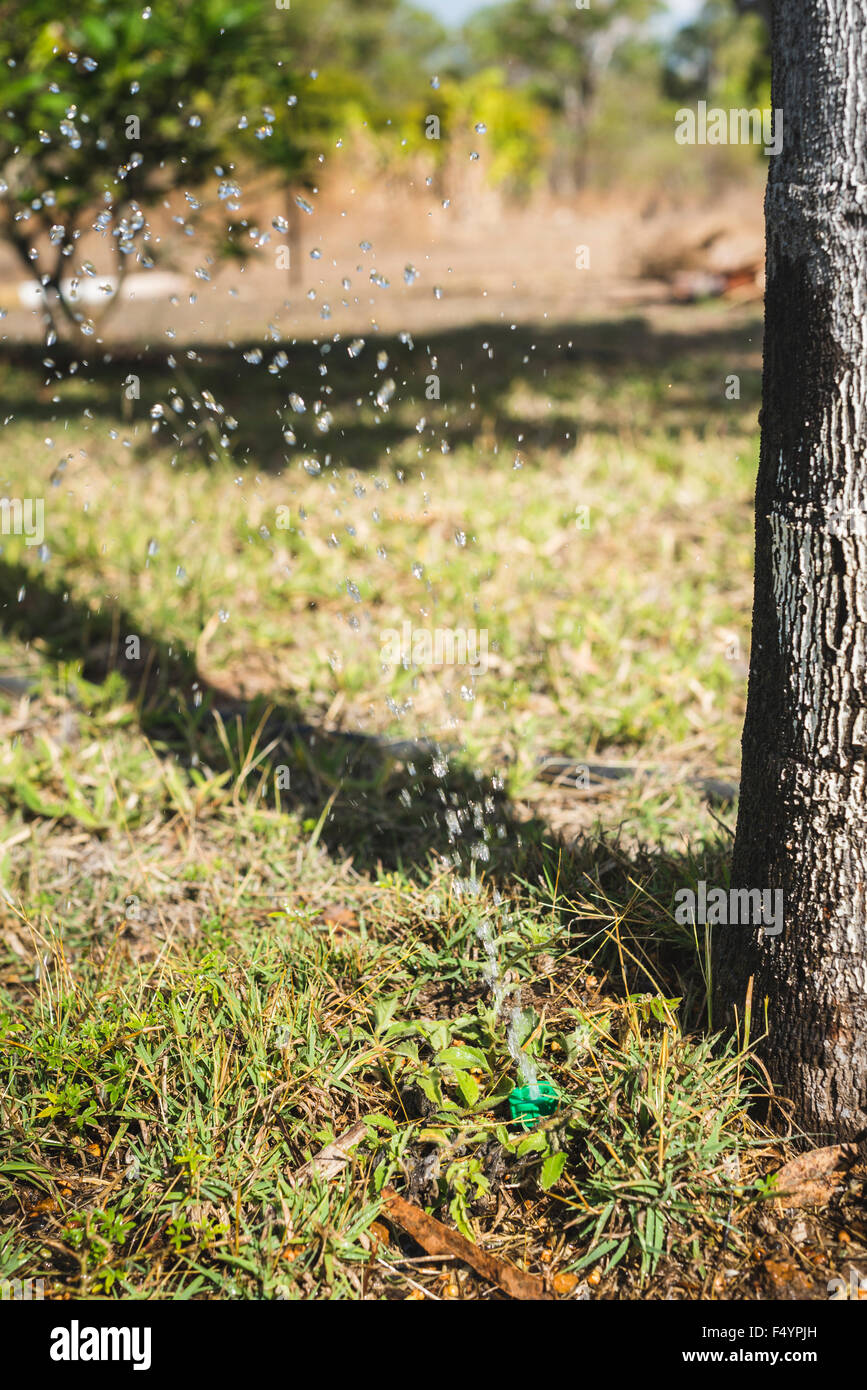 Garden dripper watering bottom of tree Stock Photo Alamy