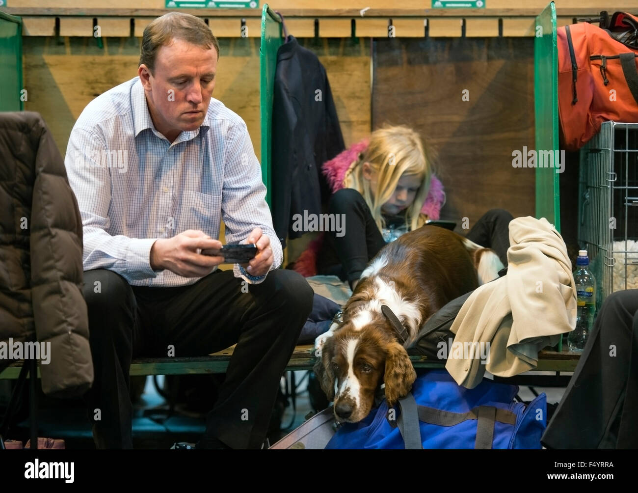 Crufts dog show at the NEC, Birmingham - competitors relax in the kennel area UK Stock Photo