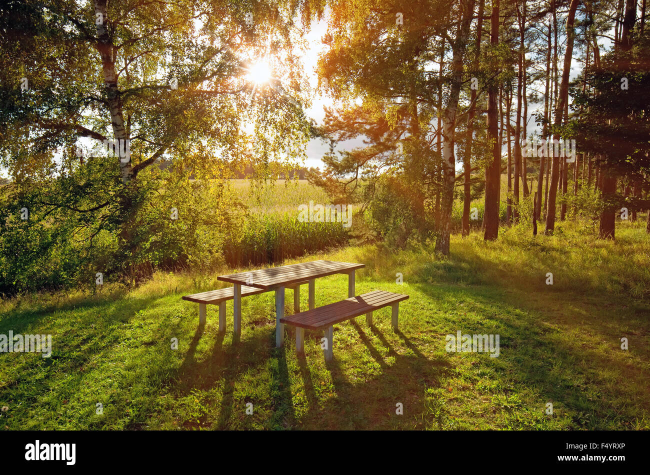 forest with picnic table and benches Stock Photo - Alamy