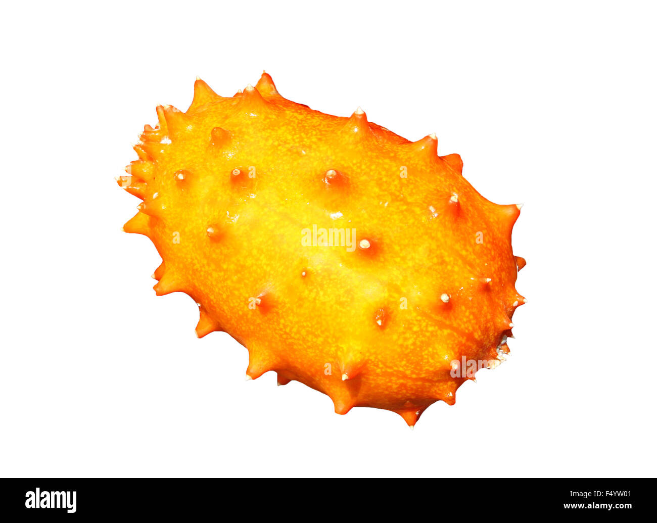 Exotic fruit kiwano isolated on white background Stock Photo Alamy