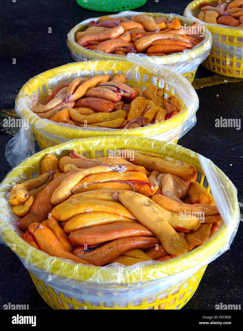 Yellow fish eggs harvested from the grey mullet fish Stock Photo Alamy