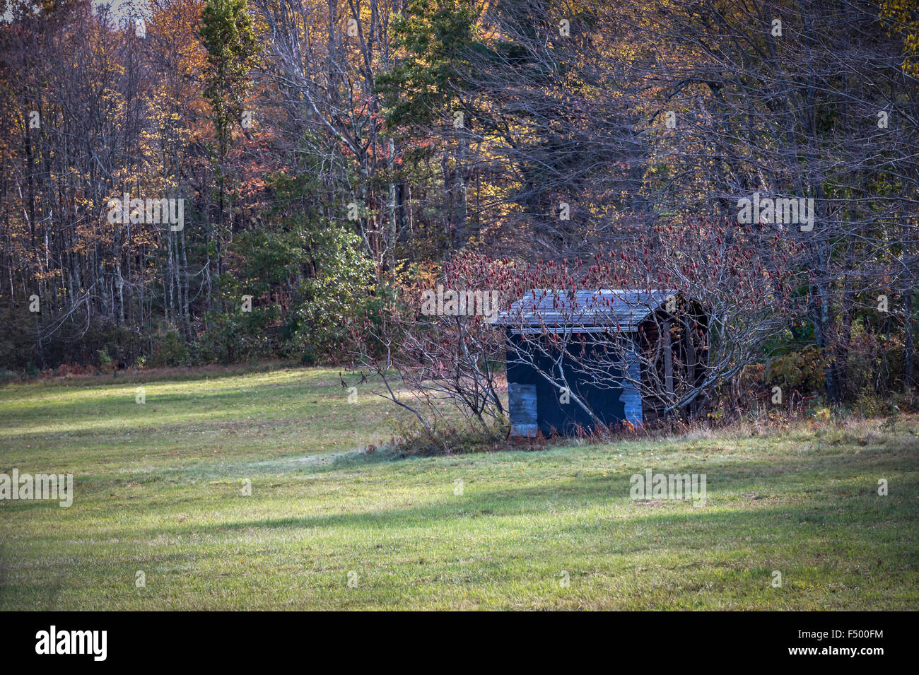 Little one room shack with no plumbing or heating hires stock