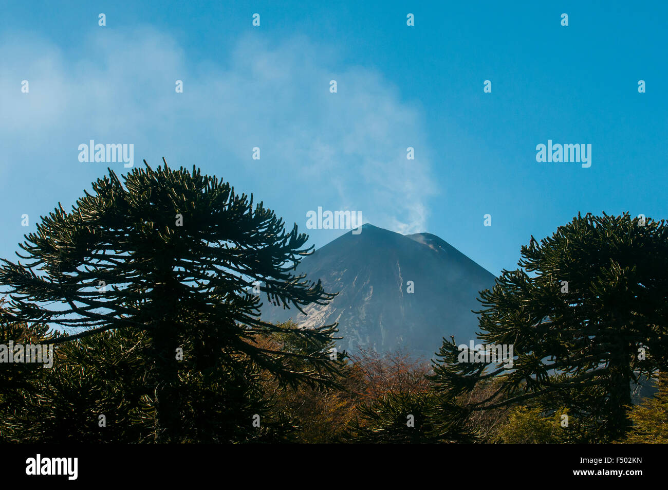 Volcan LLaima, Araucania, Chile. Llaima volcano Stock Photo