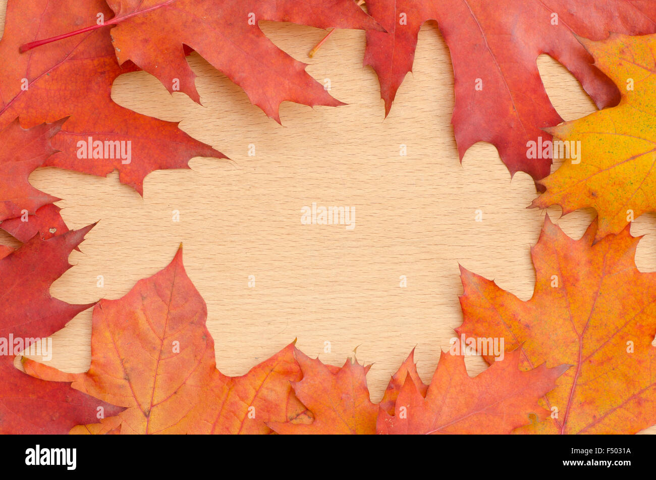 fall leaves frame on wooden background Stock Photo