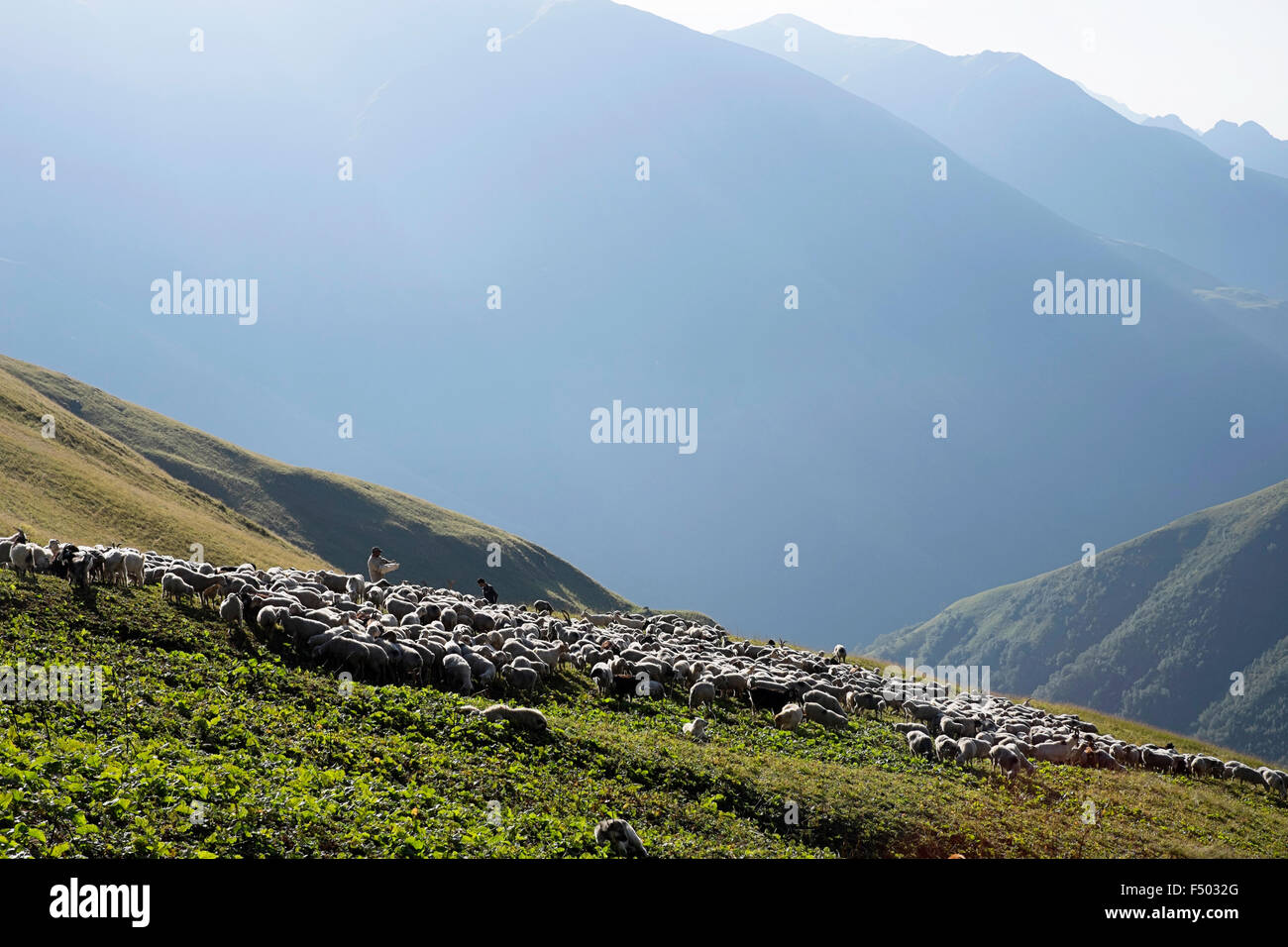 General view of the Caucasus Mountains in Georgia, Asia. These images feature Georgian men looking after their flock Stock Photo