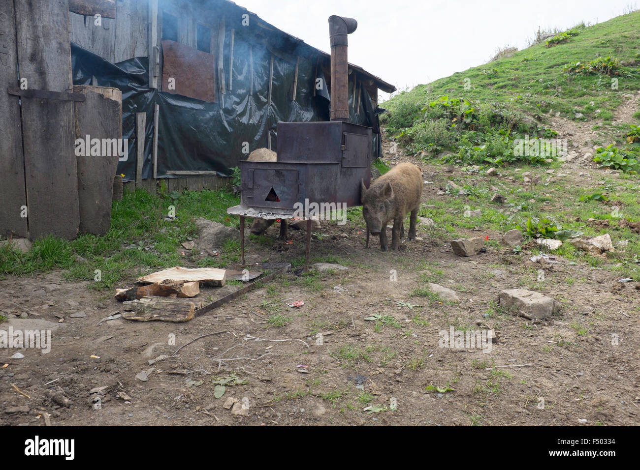 Rustic wood burning stove baking bread outside a ramshackle shepherd