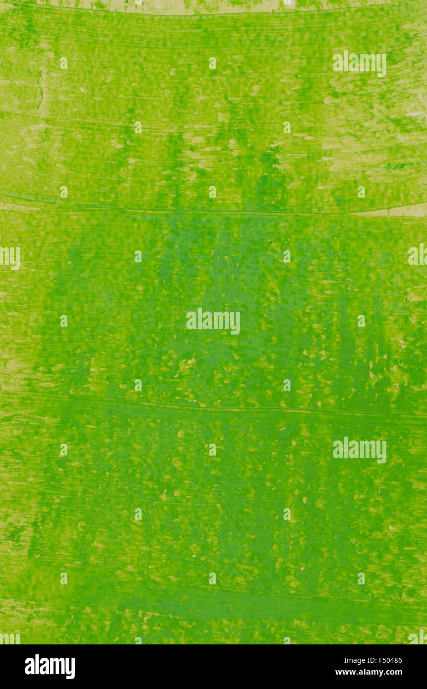 Green abstract texture hi-res stock photography and images - Alamy