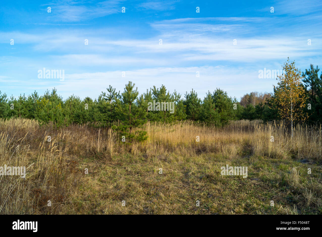 Rural landscape on background blue sky Stock Photo - Alamy