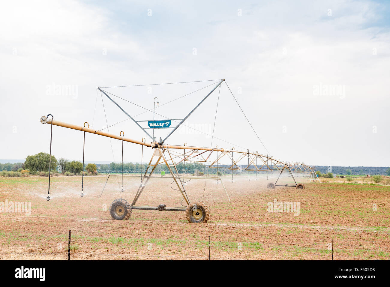 DOUGLAS, SOUTH AFRICA AUGUST 25, 2015 A center pivot irrigation