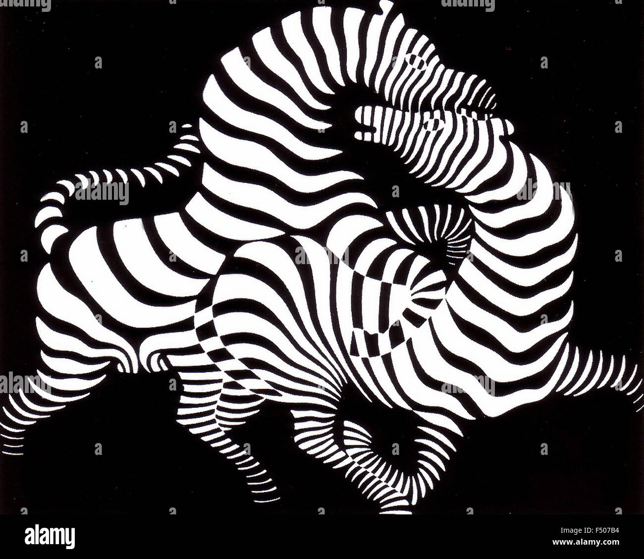 Victor Vasarely - Zebras Stock Photo