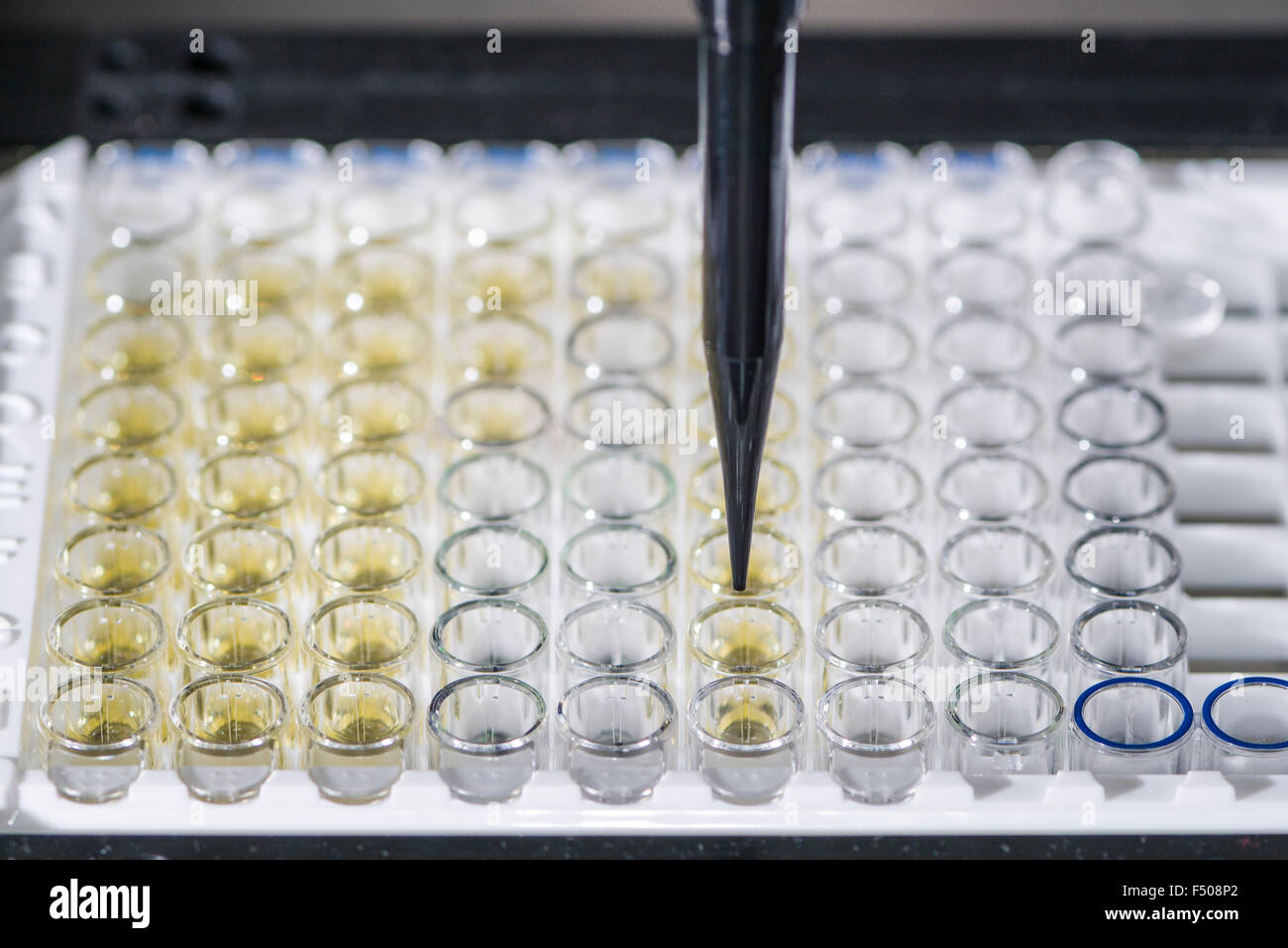Many small capillary tubes are sorted in a white rack for Enzymimmunoassay Examination, EIA Stock Photo
