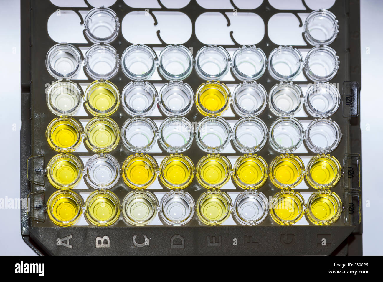 Many small capillary tubes are sorted in a white rack for Enzymimmunoassay Examination, EIA Stock Photo