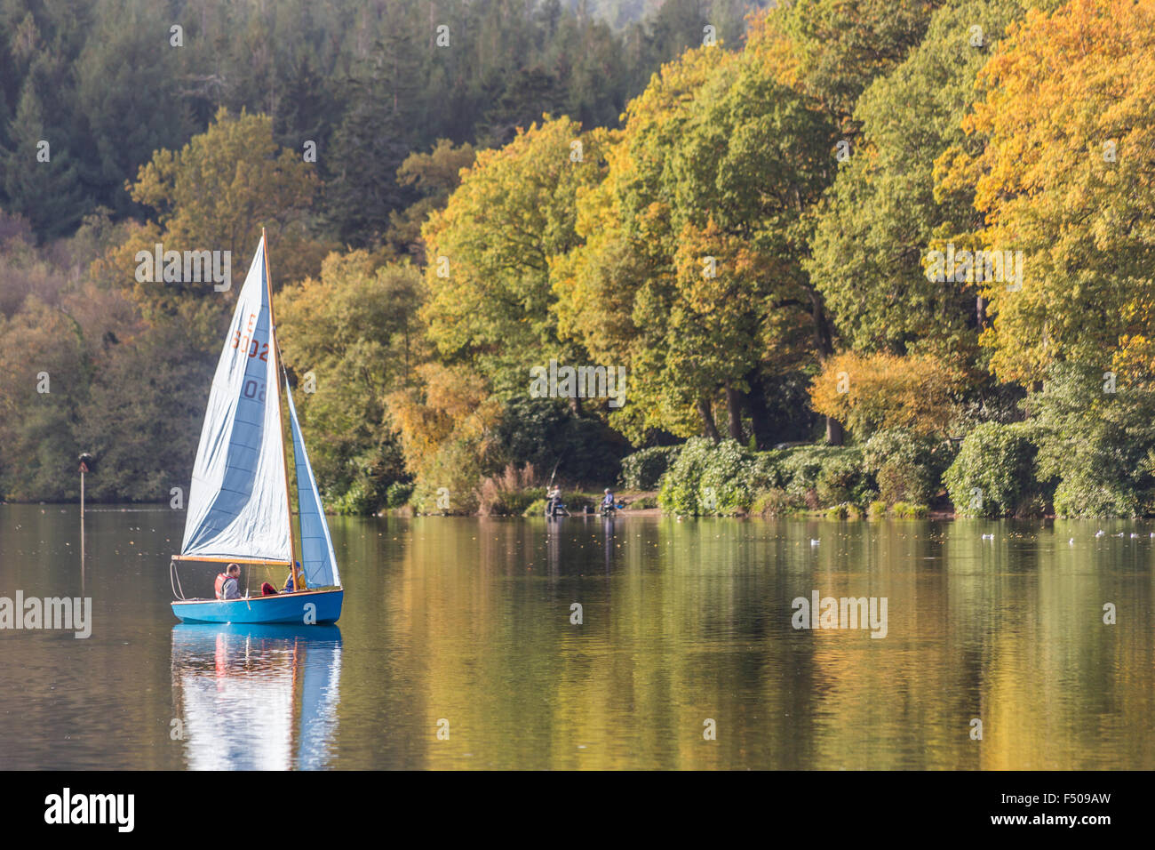 Crockerton, Wiltshire, UK. 25th Oct, 2015. A glorious day of autumn sunshine highlights the changing colours of the trees alongside the waters edge. Shearwater lake is hidden within Longleat Forest and is part of the safari park estate. It is popular with visitors who enjoy walking the tree lined lanes, fishing and boating on the lake. Credit:  Wayne Farrell/Alamy Live News Stock Photo