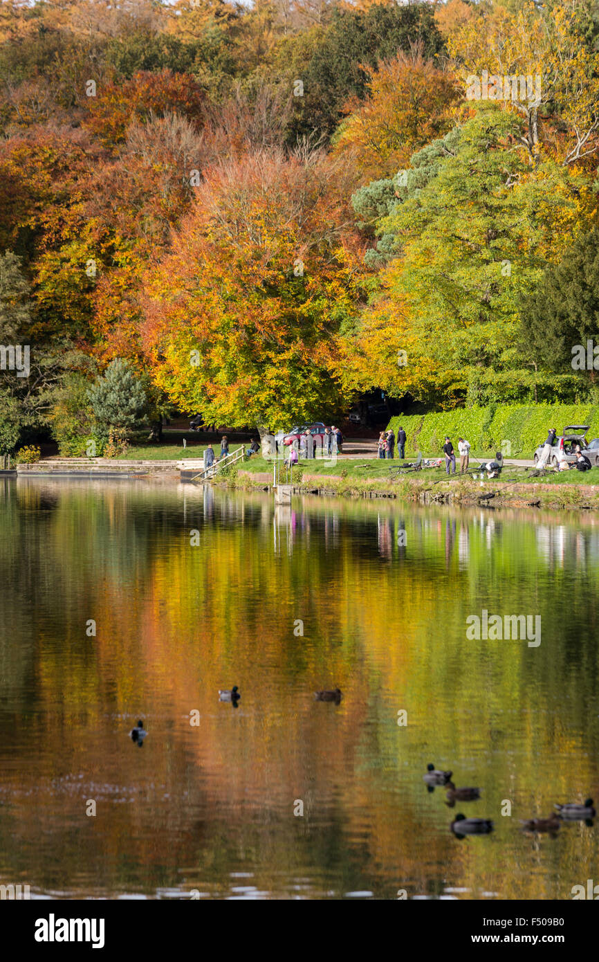 Crockerton, Wiltshire, UK. 25th Oct, 2015. A glorious day of autumn sunshine highlights the changing colours of the trees alongside the waters edge. Shearwater lake is hidden within Longleat Forest and is part of the safari park estate. It is popular with visitors who enjoy walking the tree lined lanes, fishing and boating on the lake. Credit:  Wayne Farrell/Alamy Live News Stock Photo