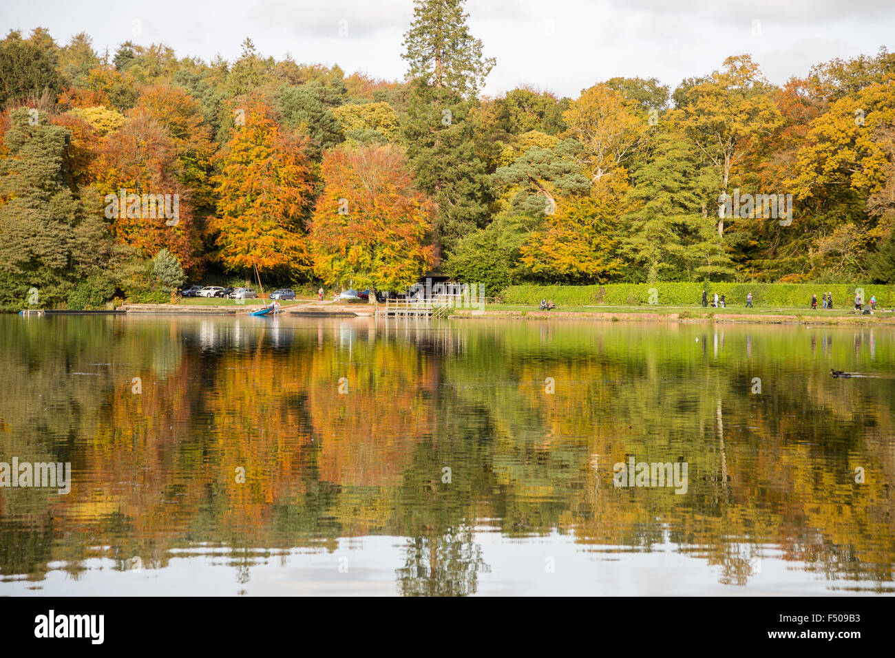 Crockerton, Wiltshire, UK. 25th Oct, 2015. A glorious day of autumn sunshine highlights the changing colours of the trees alongside the waters edge. Shearwater lake is hidden within Longleat Forest and is part of the safari park estate. It is popular with visitors who enjoy walking the tree lined lanes, fishing and boating on the lake. Credit:  Wayne Farrell/Alamy Live News Stock Photo